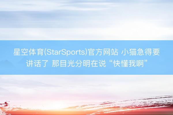 星空体育(StarSports)官方网站 小猫急得要讲话了 那目光分明在说 “快懂我啊” 星空体育(StarSports)官方网站 小猫急得要讲话了 那目光分明在说 “快懂我啊”