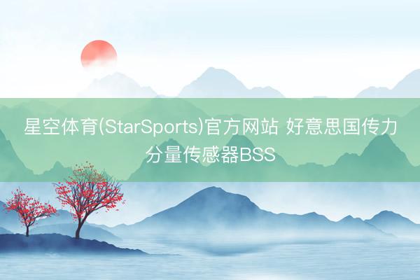 星空体育(StarSports)官方网站 好意思国传力分量传感器BSS