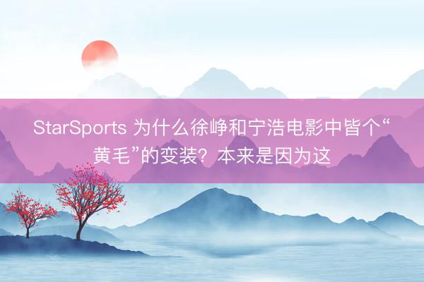 StarSports 为什么徐峥和宁浩电影中皆个“黄毛”的变装？本来是因为这