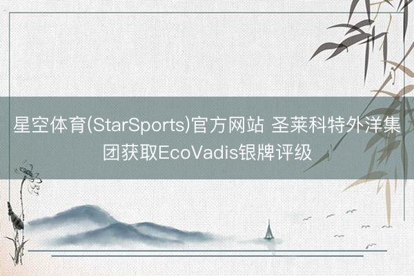 星空体育(StarSports)官方网站 圣莱科特外洋集团获取EcoVadis银牌评级 星空体育(StarSports)官方网站 圣莱科特外洋集团获取EcoVadis银牌评级
