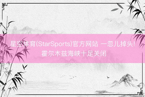 星空体育(StarSports)官方网站 一忽儿掉头! 霍尔木兹海峡十足关闭