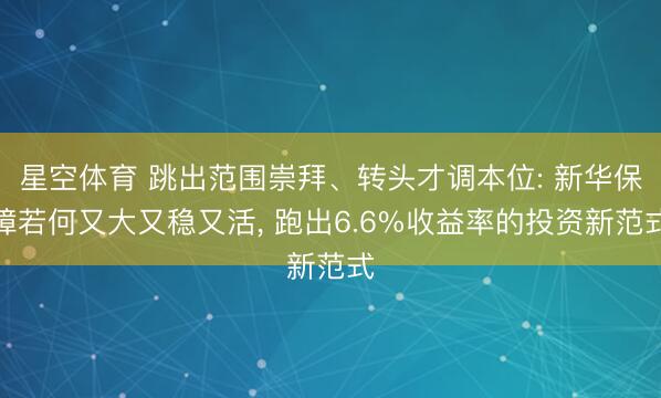星空体育 跳出范围崇拜、转头才调本位: 新华保障若何又大又稳又活， 跑出6.6%收益率的投资新范式