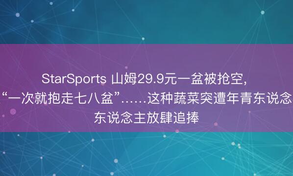 StarSports 山姆29.9元一盆被抢空， 有东说念主“一次就抱走七八盆”……这种蔬菜突遭年青东说念主放肆追捧
