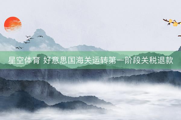星空体育 好意思国海关运转第一阶段关税退款