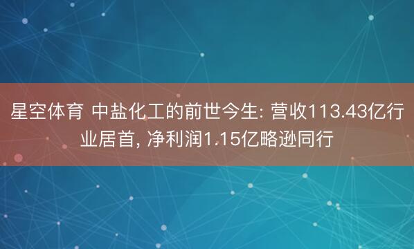 星空体育 中盐化工的前世今生: 营收113.43亿行业居首， 净利润1.15亿略逊同行