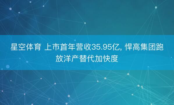 星空体育 上市首年营收35.95亿， 悍高集团跑放洋产替代加快度