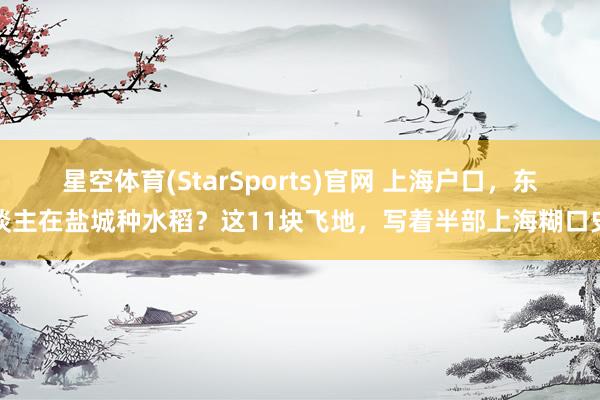 星空体育(StarSports)官网 上海户口，东谈主在盐城种水稻？这11块飞地，写着半部上海糊口史