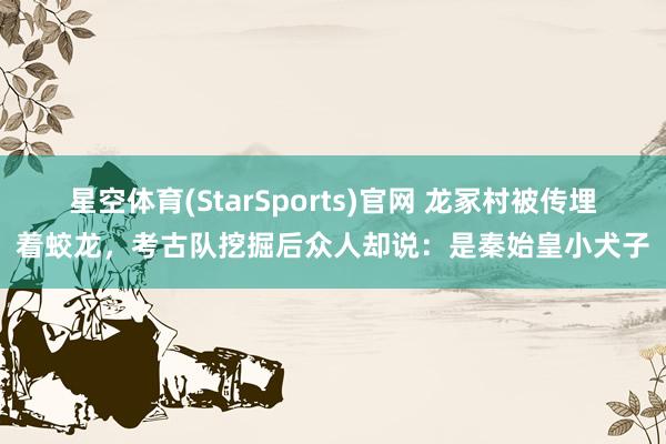星空体育(StarSports)官网 龙冢村被传埋着蛟龙，考古队挖掘后众人却说：是秦始皇小犬子