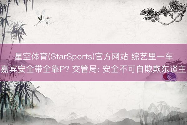 星空体育(StarSports)官方网站 综艺里一车嘉宾安全带全靠P? 交管局: 安全不可自欺欺东谈主
