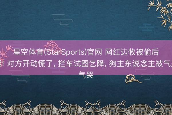 星空体育(StarSports)官网 网红边牧被偷后续! 对方开动慌了， 拦车试图乞降， 狗主东说念主被气哭