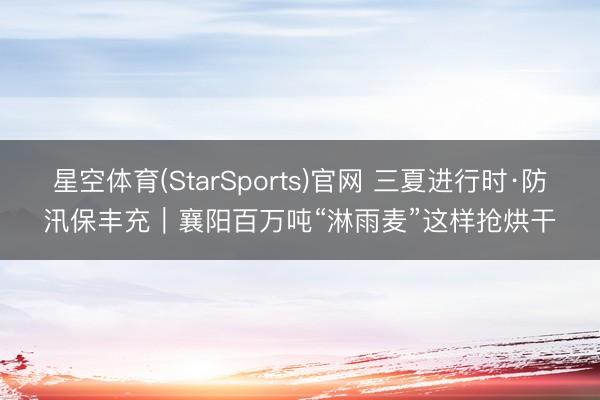 星空体育(StarSports)官网 三夏进行时·防汛保丰充｜襄阳百万吨“淋雨麦”这样抢烘干